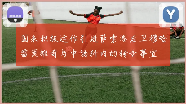 国米积极运作引进萨索洛后卫穆哈雷莫维奇与中场科内的转会事宜