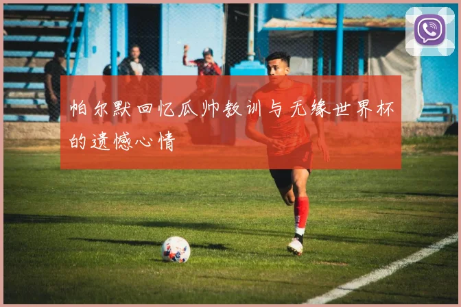 帕尔默回忆瓜帅教训与无缘世界杯的遗憾心情